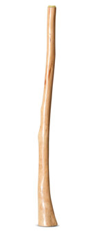 Earl Clements Didgeridoo (EC468)